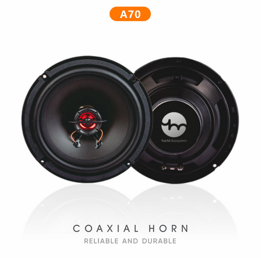 Coaxial Horn