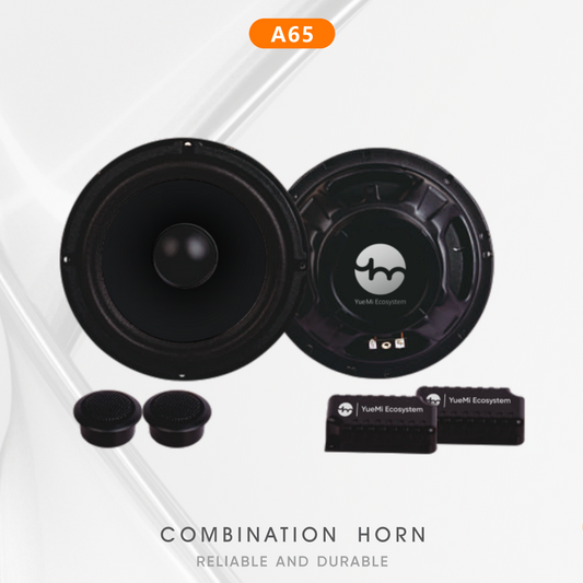 Combination Horn